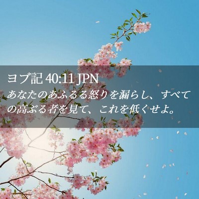 Picture 02 - ヨブ記 40:11 JPN - あなたのあふるる怒りを漏らし、す - Bible Verse Picture