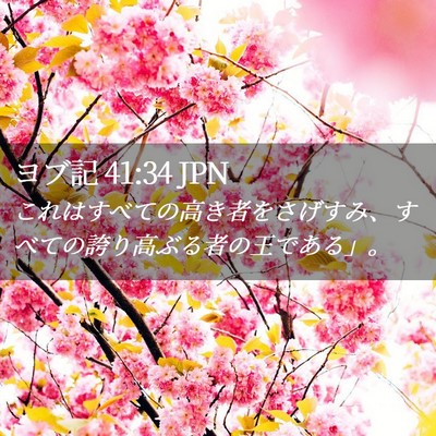 Picture 02 - ヨブ記 41:34 JPN - これはすべての高き者をさげすみ、 - Bible Verse Picture