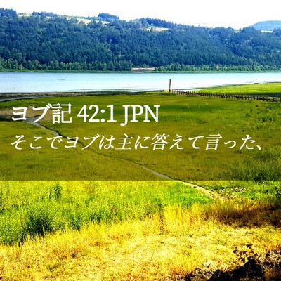 Picture 02 - ヨブ記 42:1 JPN - そこでヨブは主に答えて言った、 - Bible Verse Picture