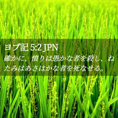 Picture 02 - ヨブ記 5:2 JPN - 確かに、憤りは愚かな者を殺し、ね - Bible Verse Picture