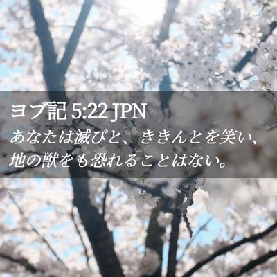 Picture 02 - ヨブ記 5:22 JPN - あなたは滅びと、ききんとを笑い、 - Bible Verse Picture