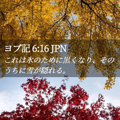Picture 02 - ヨブ記 6:16 JPN - これは氷のために黒くなり、そのう - Bible Verse Picture