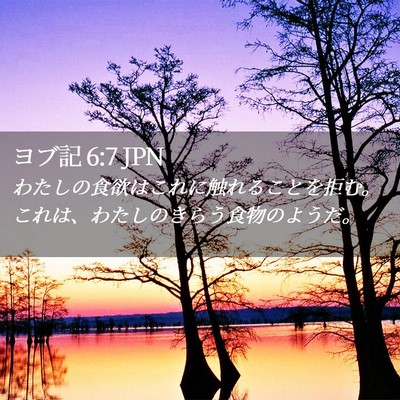 Picture 02 - ヨブ記 6:7 JPN - わたしの食欲はこれに触れることを - Bible Verse Picture
