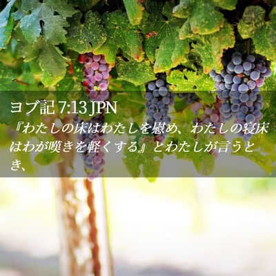 Picture 02 - ヨブ記 7:13 JPN - 『わたしの床はわたしを慰め、わた - Bible Verse Picture