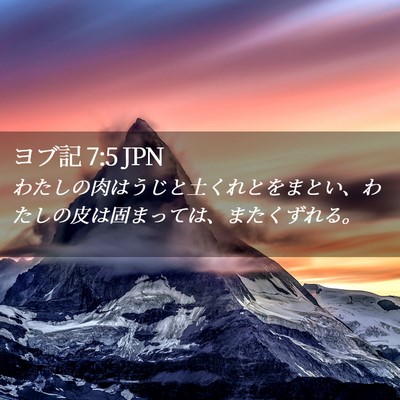 Picture 02 - ヨブ記 7:5 JPN - わたしの肉はうじと土くれとをまと - Bible Verse Picture