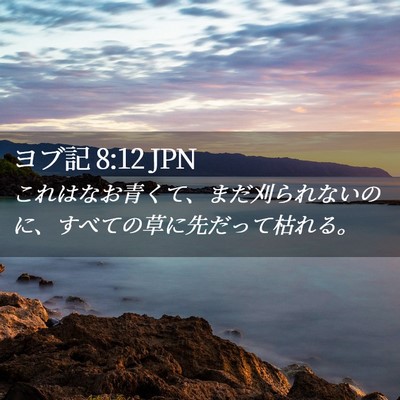 Picture 02 - ヨブ記 8:12 JPN - これはなお青くて、まだ刈られない - Bible Verse Picture