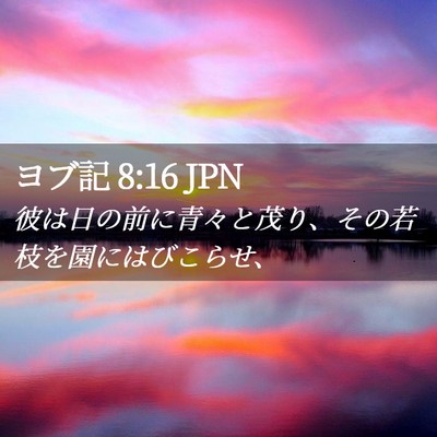 Picture 02 - ヨブ記 8:16 JPN - 彼は日の前に青々と茂り、その若枝 - Bible Verse Picture