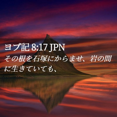 Picture 02 - ヨブ記 8:17 JPN - その根を石塚にからませ、岩の間に - Bible Verse Picture