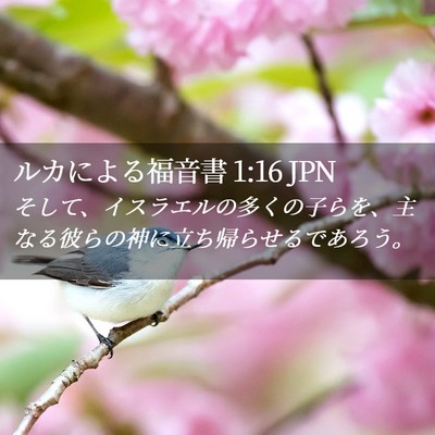 Picture 02 - ルカによる福音書 1:16 JPN - そして、イスラエルの多くの子らを - Bible Verse Picture