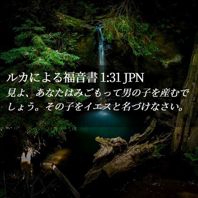Picture 02 - ルカによる福音書 1:31 JPN - 見よ、あなたはみごもって男の子を - Bible Verse Picture