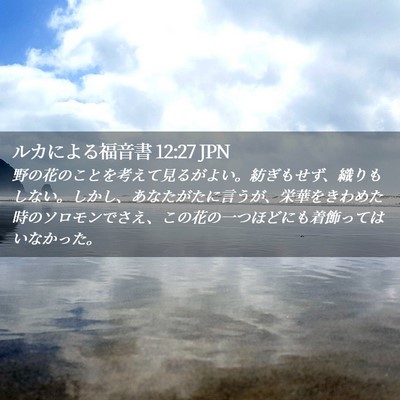 Picture 02 - ルカによる福音書 12:27 JPN - 野の花のことを考えて見るがよい。 - Bible Verse Picture