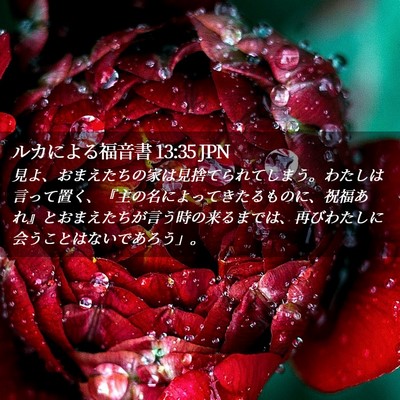 Picture 02 - ルカによる福音書 13:35 JPN - 見よ、おまえたちの家は見捨てられ - Bible Verse Picture