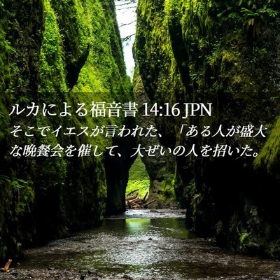 Picture 02 - ルカによる福音書 14:16 JPN - そこでイエスが言われた、「ある人 - Bible Verse Picture