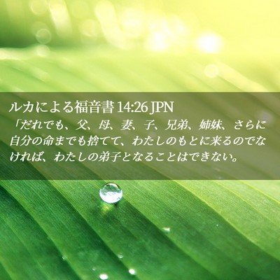 Picture 02 - ルカによる福音書 14:26 JPN - 「だれでも、父、母、妻、子、兄弟 - Bible Verse Picture
