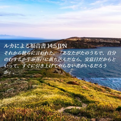 Picture 02 - ルカによる福音書 14:5 JPN - それから彼らに言われた、「あなた - Bible Verse Picture