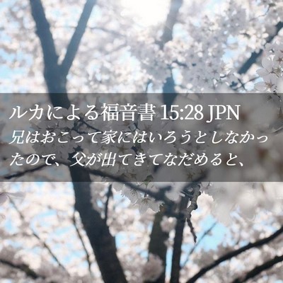 Picture 02 - ルカによる福音書 15:28 JPN - 兄はおこって家にはいろうとしなか - Bible Verse Picture