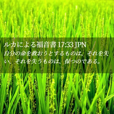 Picture 02 - ルカによる福音書 17:33 JPN - 自分の命を救おうとするものは、そ - Bible Verse Picture