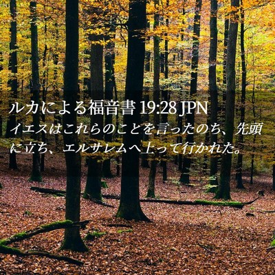 Picture 02 - ルカによる福音書 19:28 JPN - イエスはこれらのことを言ったのち - Bible Verse Picture