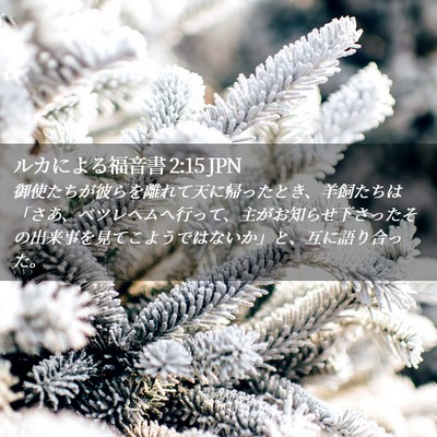 Picture 02 - ルカによる福音書 2:15 JPN - 御使たちが彼らを離れて天に帰った - Bible Verse Picture