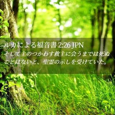 Picture 02 - ルカによる福音書 2:26 JPN - そして主のつかわす救主に会うまで - Bible Verse Picture
