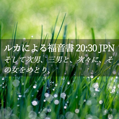 Picture 02 - ルカによる福音書 20:30 JPN - そして次男、三男と、次々に、その - Bible Verse Picture