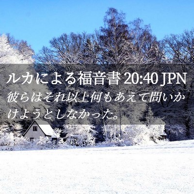 Picture 02 - ルカによる福音書 20:40 JPN - 彼らはそれ以上何もあえて問いかけ - Bible Verse Picture