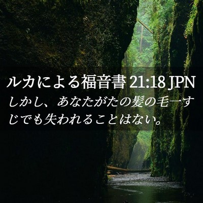Picture 02 - ルカによる福音書 21:18 JPN - しかし、あなたがたの髪の毛一すじ - Bible Verse Picture