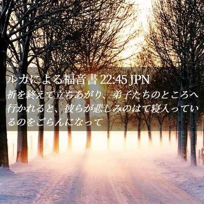 Picture 02 - ルカによる福音書 22:45 JPN - 祈を終えて立ちあがり、弟子たちの - Bible Verse Picture