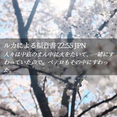 Picture 02 - ルカによる福音書 22:55 JPN - 人々は中庭のまん中に火をたいて、 - Bible Verse Picture