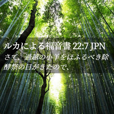 Picture 02 - ルカによる福音書 22:7 JPN - さて、過越の小羊をほふるべき除酵 - Bible Verse Picture