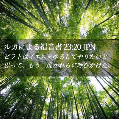 Picture 02 - ルカによる福音書 23:20 JPN - ピラトはイエスをゆるしてやりたい - Bible Verse Picture