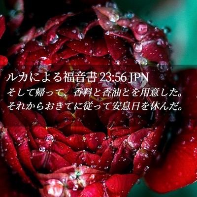 Picture 02 - ルカによる福音書 23:56 JPN - そして帰って、香料と香油とを用意 - Bible Verse Picture