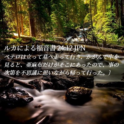 Picture 02 - ルカによる福音書 24:12 JPN - ペテロは立って墓へ走って行き、か - Bible Verse Picture