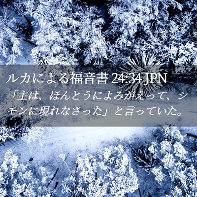 Picture 02 - ルカによる福音書 24:34 JPN - 「主は、ほんとうによみがえって、 - Bible Verse Picture
