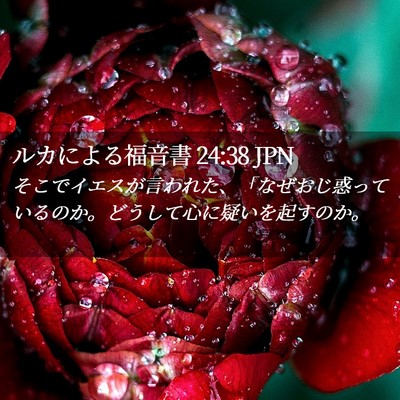 Picture 02 - ルカによる福音書 24:38 JPN - そこでイエスが言われた、「なぜお - Bible Verse Picture