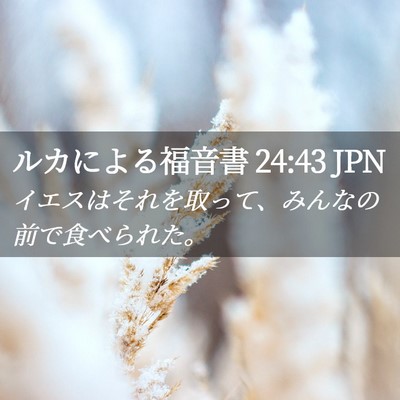 Picture 02 - ルカによる福音書 24:43 JPN - イエスはそれを取って、みんなの前 - Bible Verse Picture