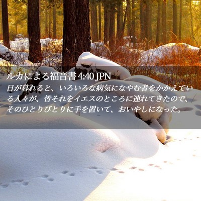Picture 02 - ルカによる福音書 4:40 JPN - 日が暮れると、いろいろな病気にな - Bible Verse Picture