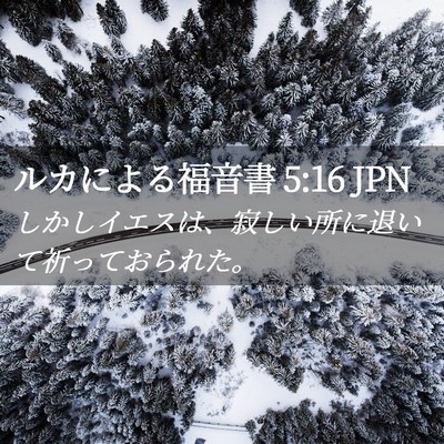 Picture 02 - ルカによる福音書 5:16 JPN - しかしイエスは、寂しい所に退いて - Bible Verse Picture