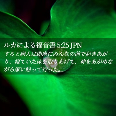 Picture 02 - ルカによる福音書 5:25 JPN - すると病人は即座にみんなの前で起 - Bible Verse Picture