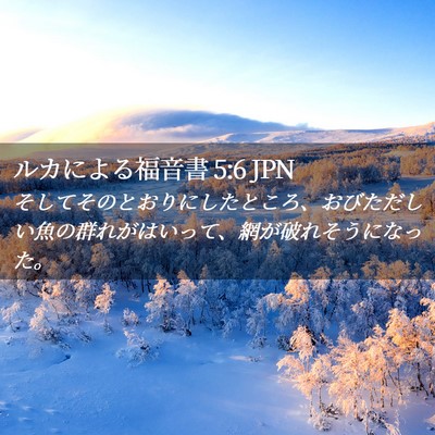 Picture 02 - ルカによる福音書 5:6 JPN - そしてそのとおりにしたところ、お - Bible Verse Picture