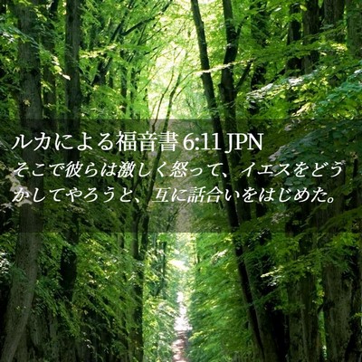 Picture 02 - ルカによる福音書 6:11 JPN - そこで彼らは激しく怒って、イエス - Bible Verse Picture