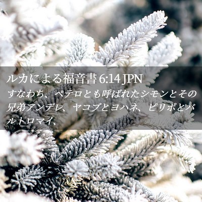 Picture 02 - ルカによる福音書 6:14 JPN - すなわち、ペテロとも呼ばれたシモ - Bible Verse Picture