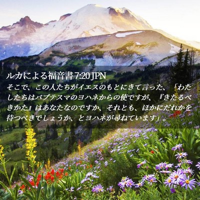 Picture 02 - ルカによる福音書 7:20 JPN - そこで、この人たちがイエスのもと - Bible Verse Picture