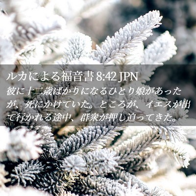 Picture 02 - ルカによる福音書 8:42 JPN - 彼に十二歳ばかりになるひとり娘が - Bible Verse Picture