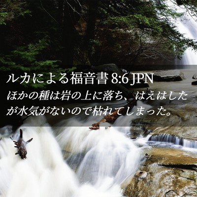 Picture 02 - ルカによる福音書 8:6 JPN - ほかの種は岩の上に落ち、はえはし - Bible Verse Picture
