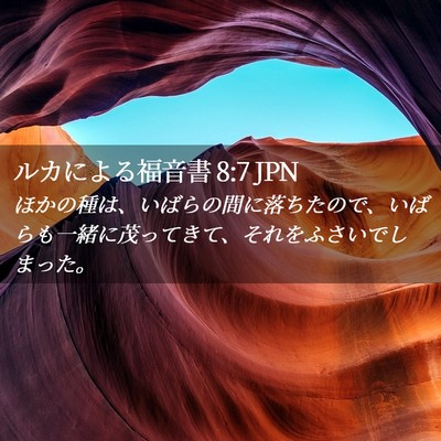 Picture 02 - ルカによる福音書 8:7 JPN - ほかの種は、いばらの間に落ちたの - Bible Verse Picture