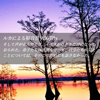Picture 02 - ルカによる福音書 9:36 JPN - そして声が止んだとき、イエスがひ - Bible Verse Picture