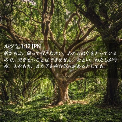 Picture 02 - ルツ記 1:12 JPN - 娘たちよ、帰って行きなさい。わた - Bible Verse Picture