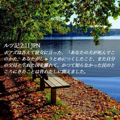 Picture 02 - ルツ記 2:11 JPN - ボアズは答えて彼女に言った、「あ - Bible Verse Picture