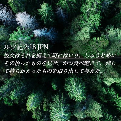 Picture 02 - ルツ記 2:18 JPN - 彼女はそれを携えて町にはいり、し - Bible Verse Picture